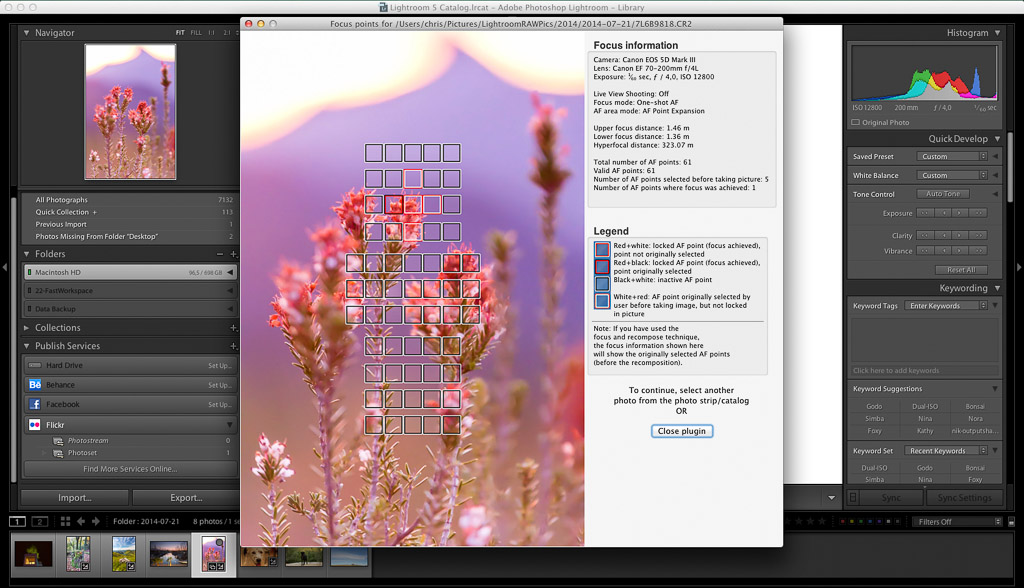 movavi photo focus windows as a photoshop plugin movavi photo focus windows as a photoshop plugin